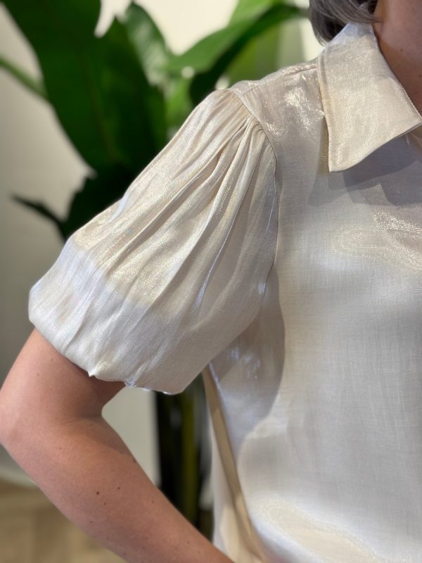 Blouse Diana beige - Afbeelding 2
