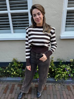 Truitje Inge bruin/beige