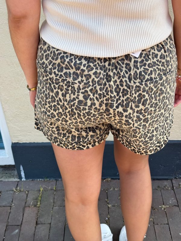 Short Fae panter - Afbeelding 4