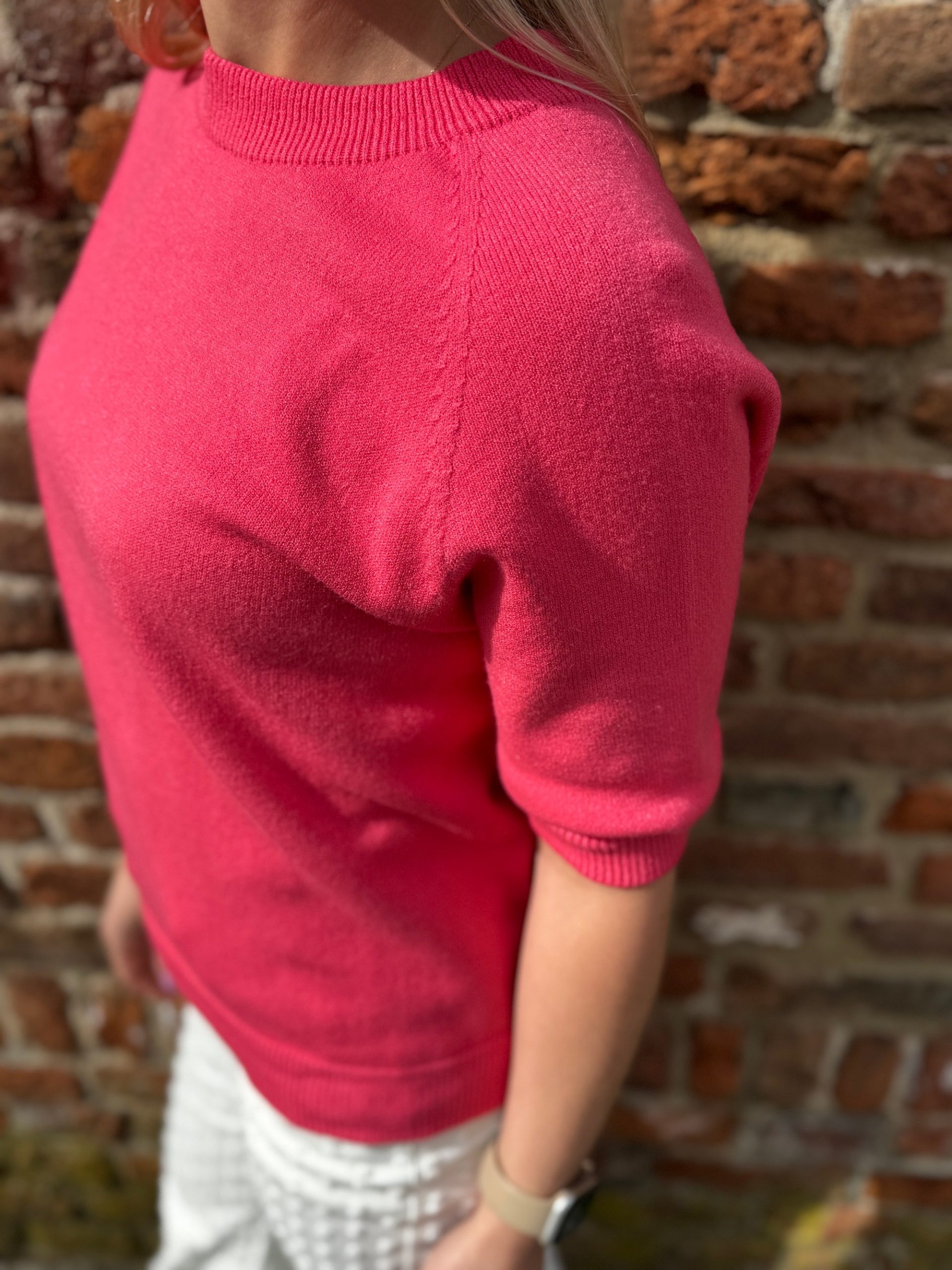 Truitje Imme framboos - Afbeelding 2