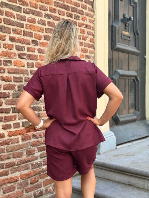 Blouse Lenthe bordeaux - Afbeelding 5