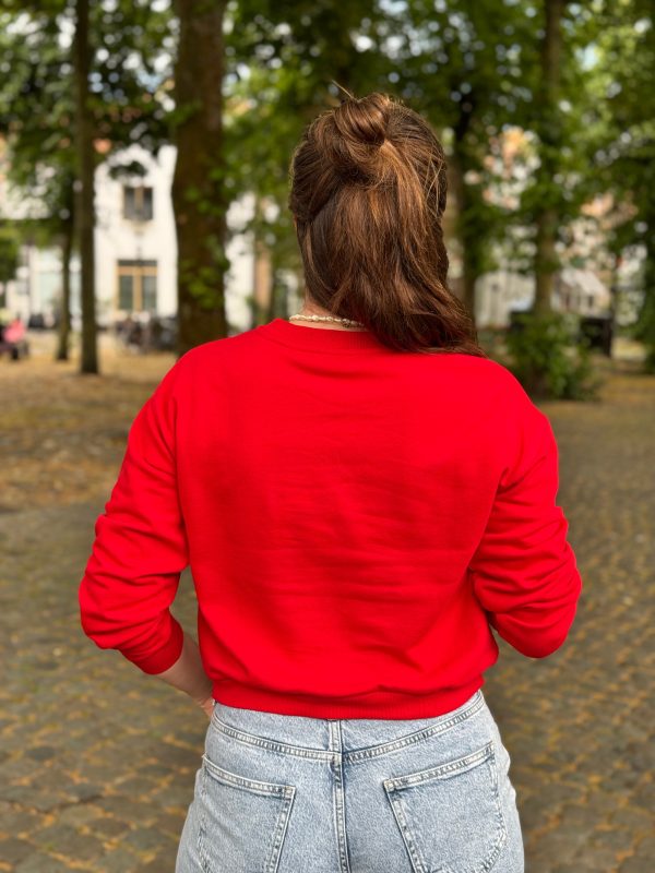 Sweater Voyager rood - Afbeelding 5