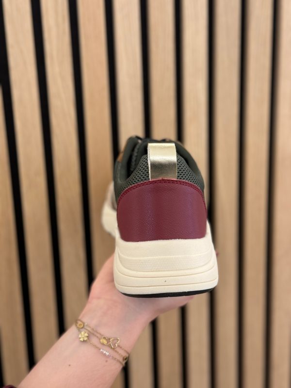Sneakers forest/bordeaux/mushroom - Afbeelding 2