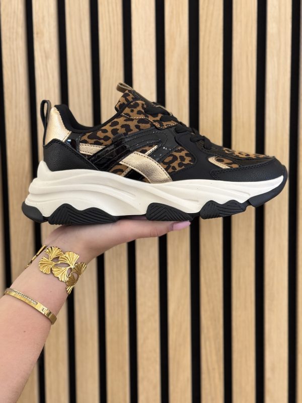Sneakers 19