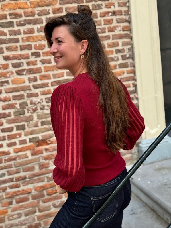 Truitje Pip wijnrood - Afbeelding 5