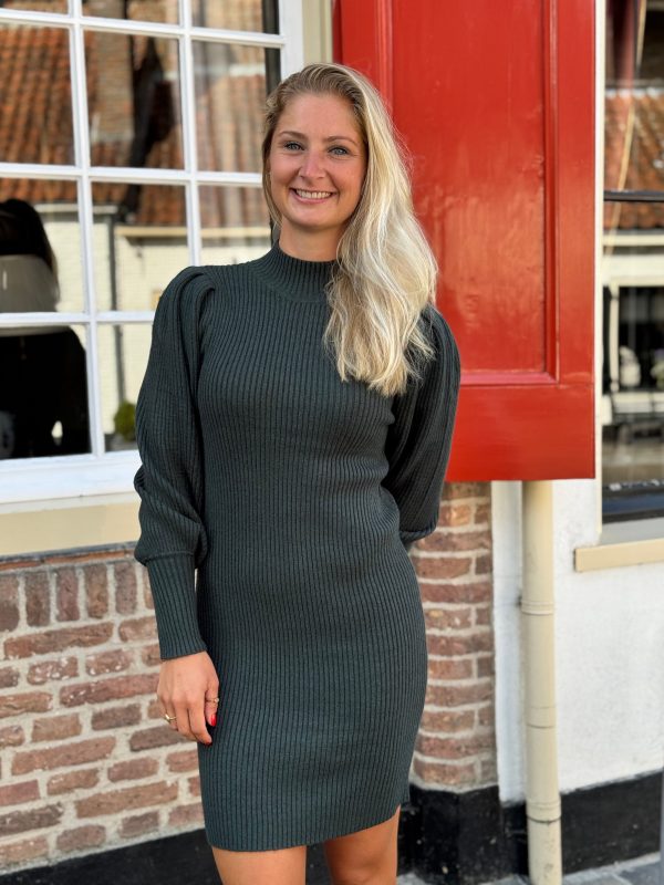 Jurkje Katia june bug - Afbeelding 4
