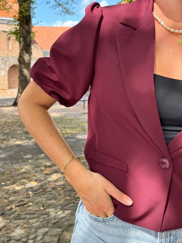 Blazer Samantha bordeaux - Afbeelding 3