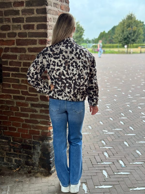Jasje Stella - Afbeelding 10