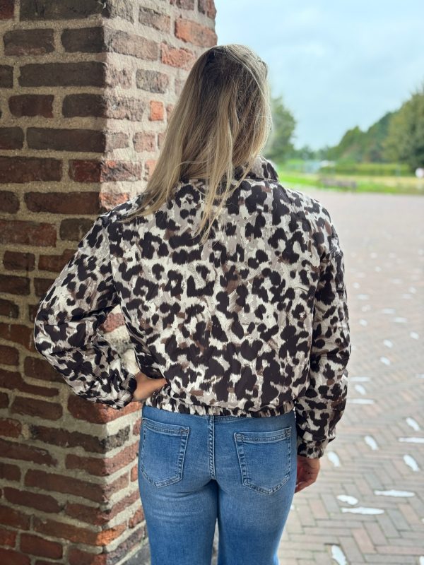 Jasje Stella - Afbeelding 6