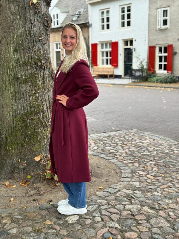 Tussenjas Sari bordeaux - Afbeelding 4
