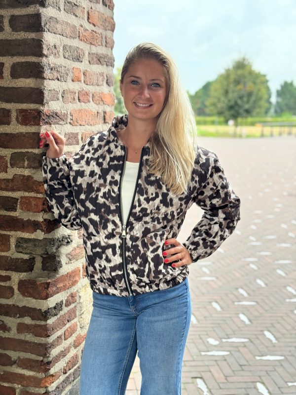 Jasje Stella - Afbeelding 2