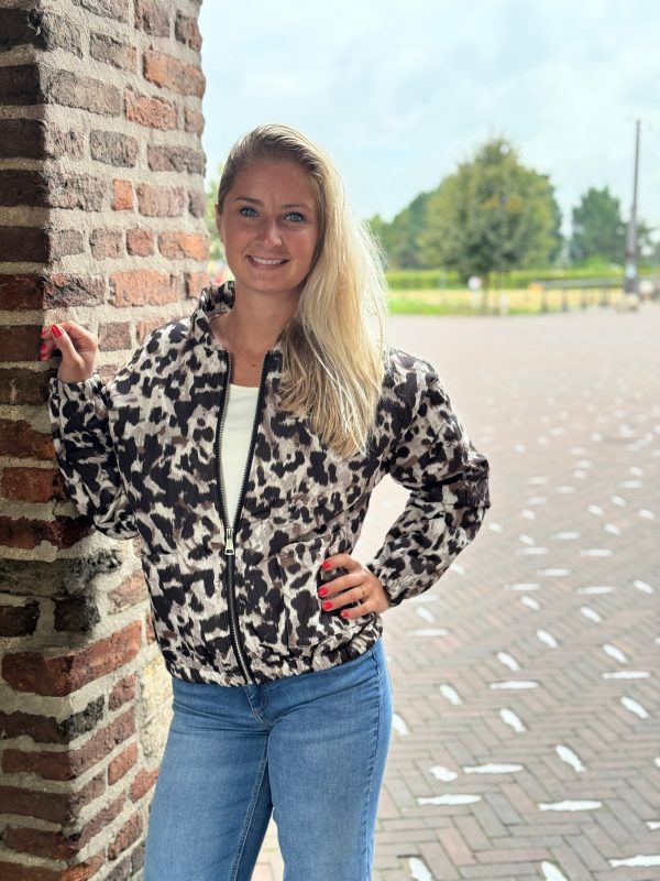 Jasje Stella - Afbeelding 3