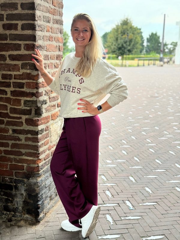 Sweater Mesa oatmeal - Afbeelding 5