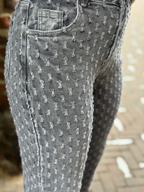 Jeans Noemy grey - Afbeelding 5