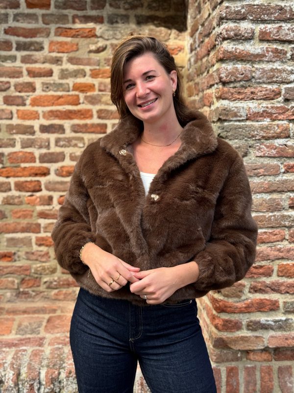 Jasje Rosa choco - Afbeelding 4
