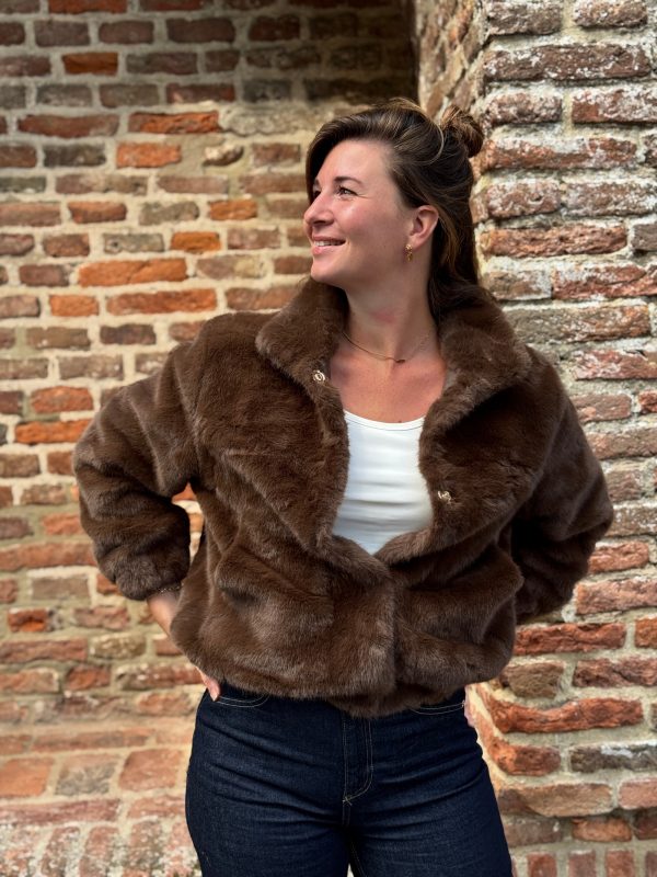 Jasje Rosa choco - Afbeelding 7