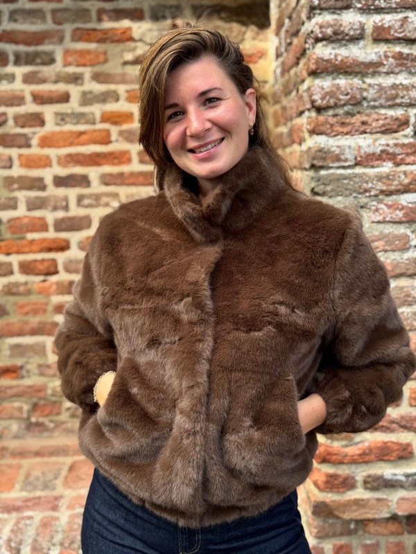 Jasje Rosa choco - Afbeelding 3