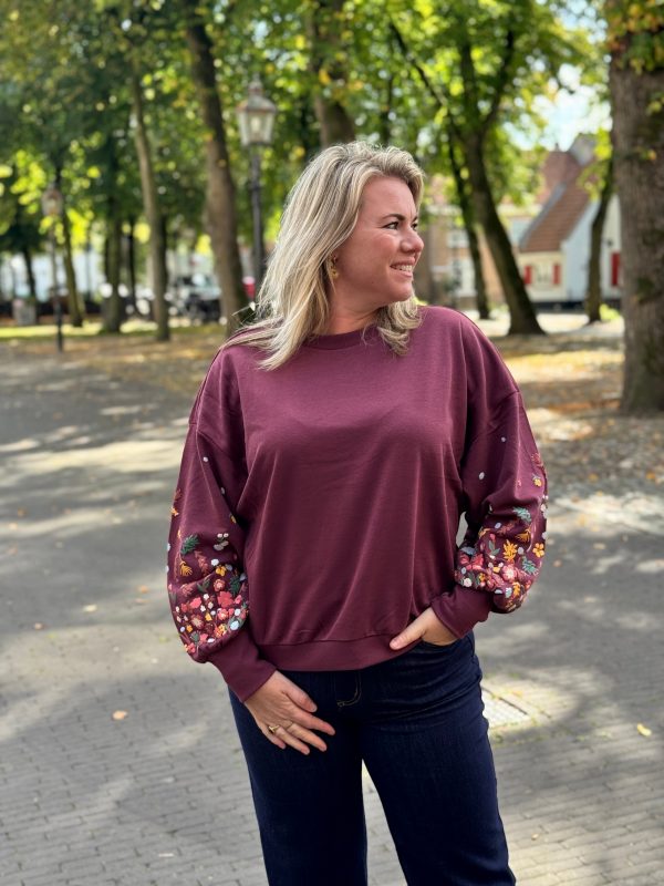 Sweater Brooke bordeaux - Afbeelding 4