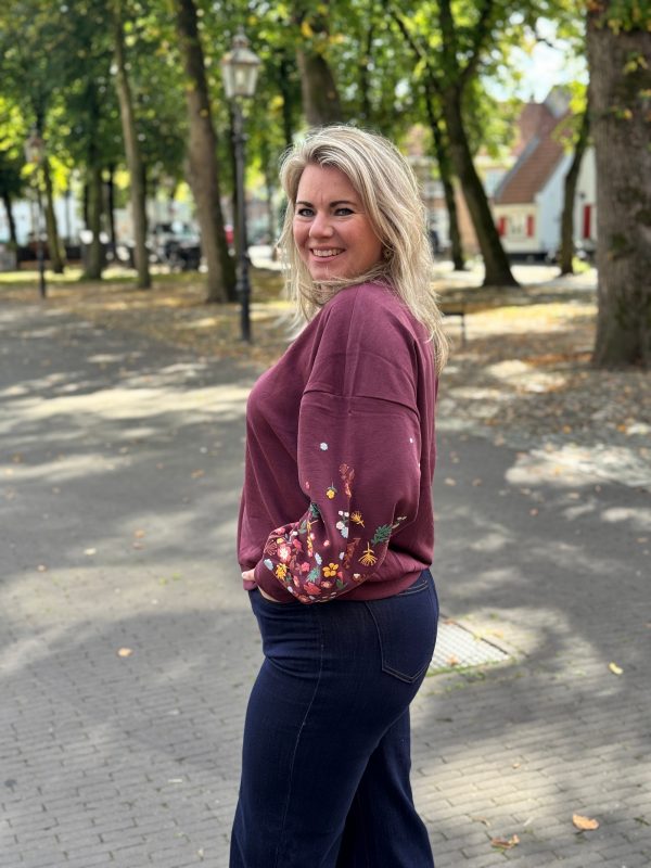 Sweater Brooke bordeaux - Afbeelding 2