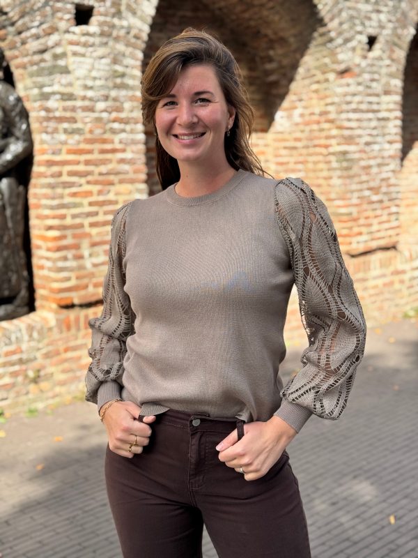 Truitje Renske taupe - Afbeelding 3