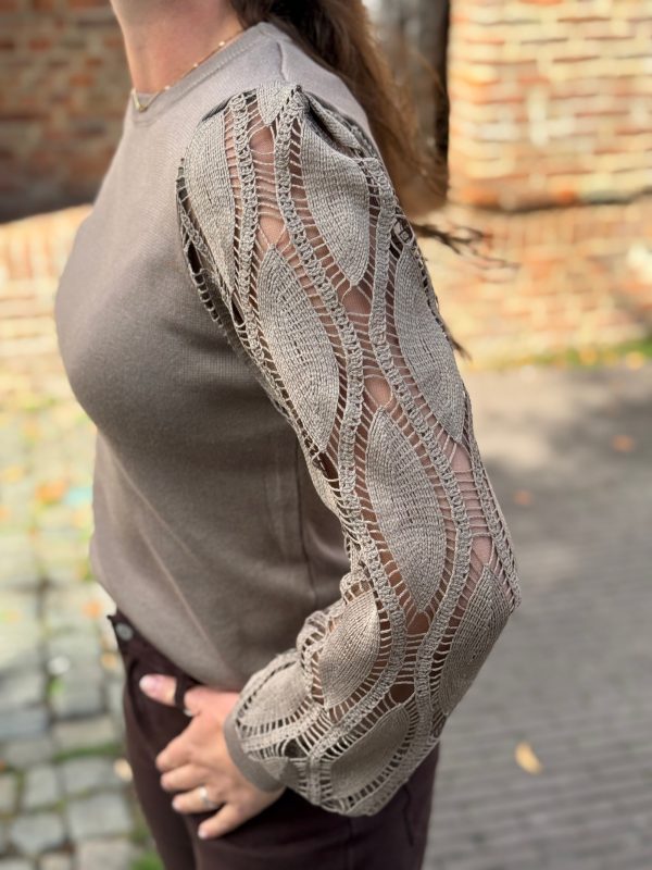 Truitje Renske taupe - Afbeelding 5