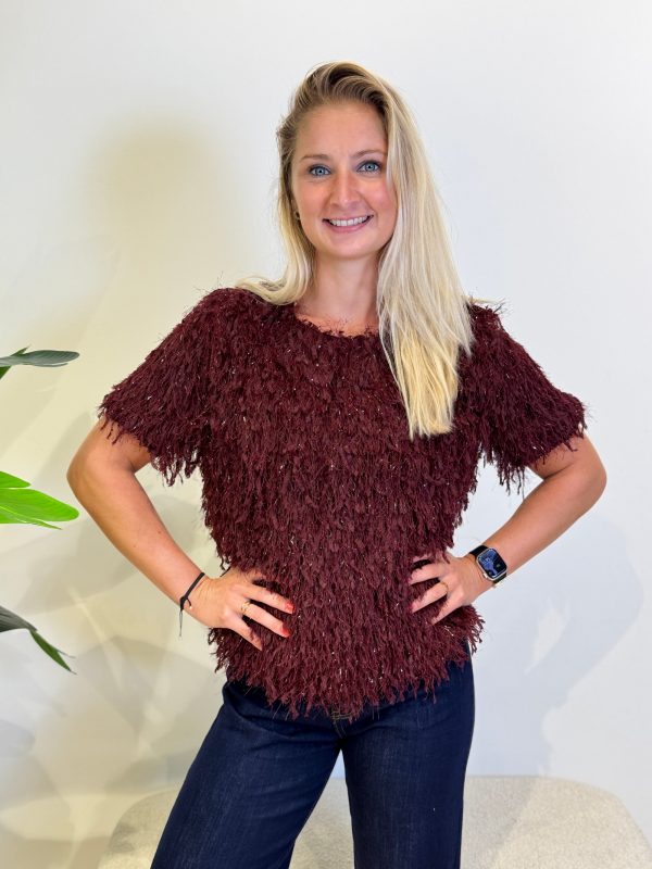 Top Desiree bordeaux - Afbeelding 2