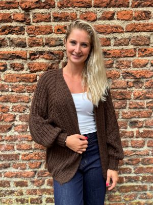 Gebreid vestje Lindsay choco