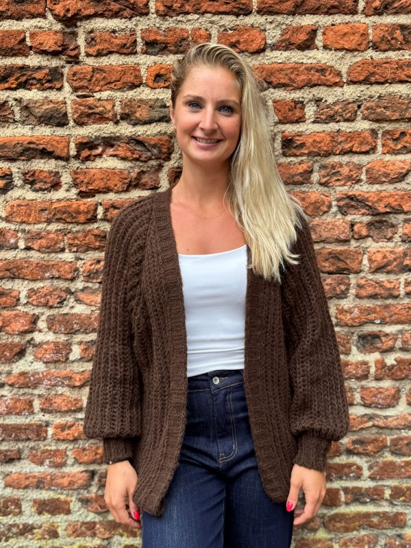 Gebreid vestje Lindsay choco - Afbeelding 2