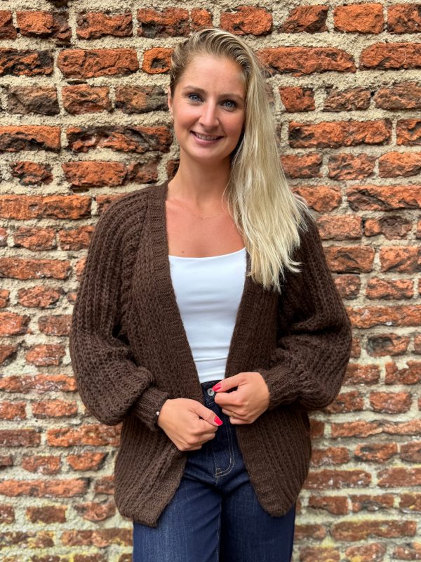 Gebreid vestje Lindsay choco - Afbeelding 3
