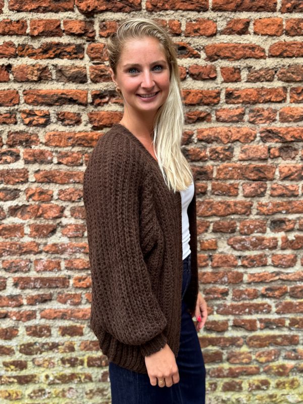 Gebreid vestje Lindsay choco - Afbeelding 4