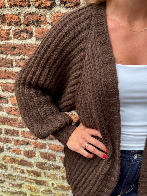 Gebreid vestje Lindsay choco - Afbeelding 5