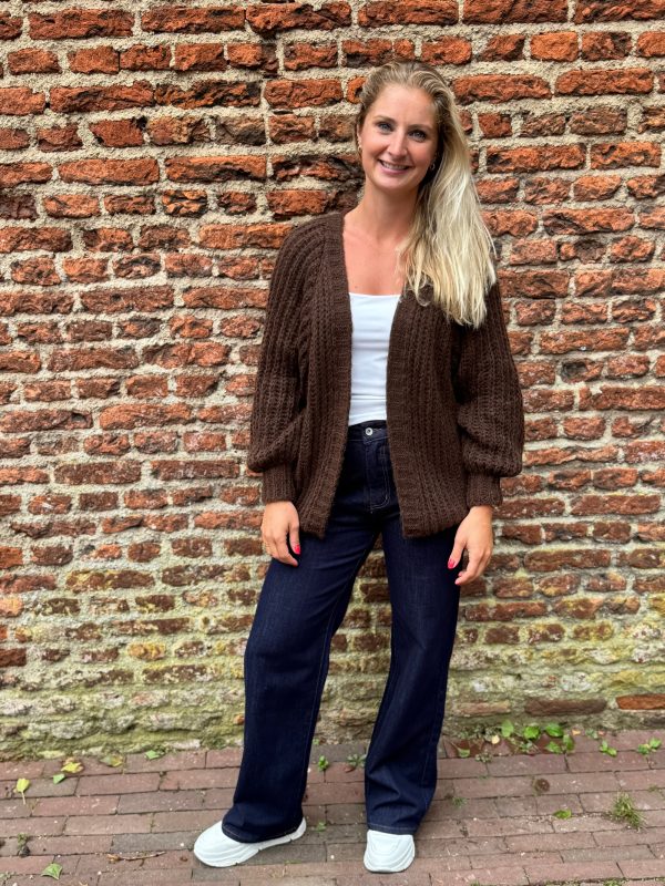 Gebreid vestje Lindsay choco - Afbeelding 6