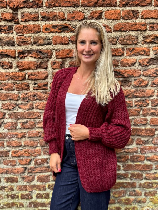 Gebreid vestje Lindsay bordeaux - Afbeelding 3