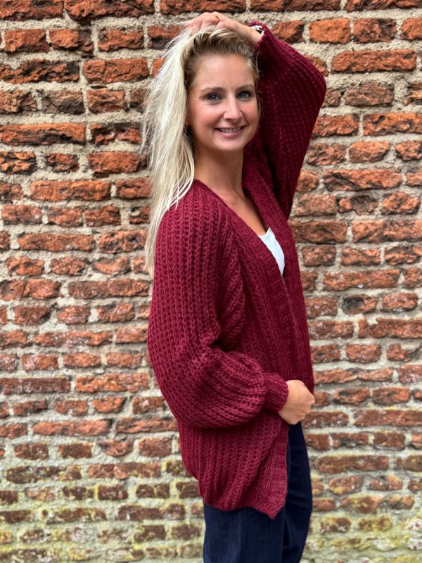 Gebreid vestje Lindsay bordeaux - Afbeelding 4