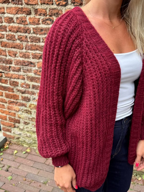 Gebreid vestje Lindsay bordeaux - Afbeelding 5