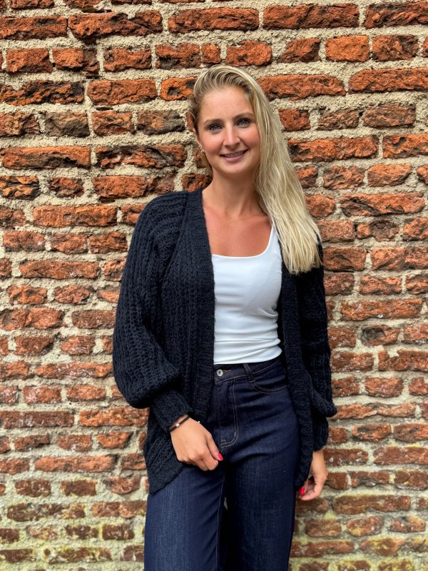 Gebreid vestje Lindsay navy - Afbeelding 2