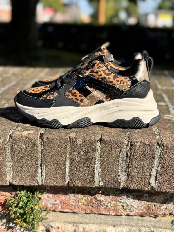 Sneakers 19