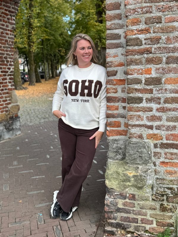 Trui Soho beige met choco - Afbeelding 2