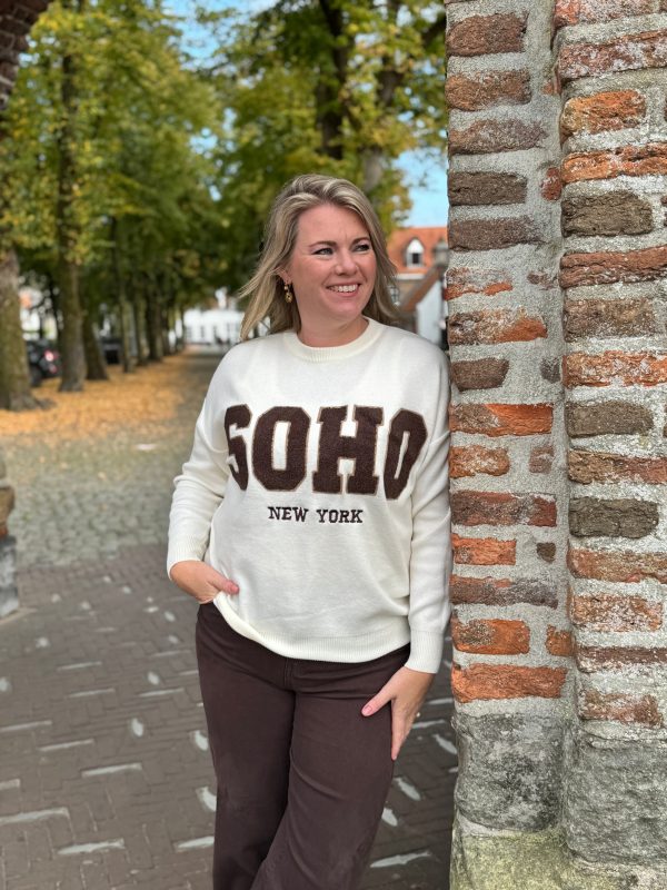 Trui Soho beige met choco - Afbeelding 7
