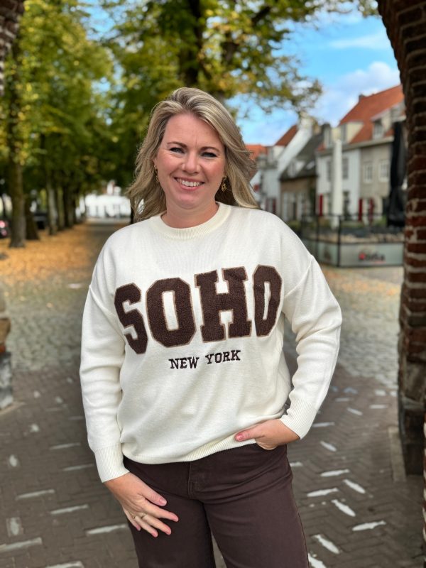 Trui Soho beige met choco - Afbeelding 3