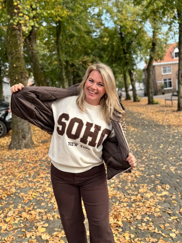 Trui Soho beige met choco