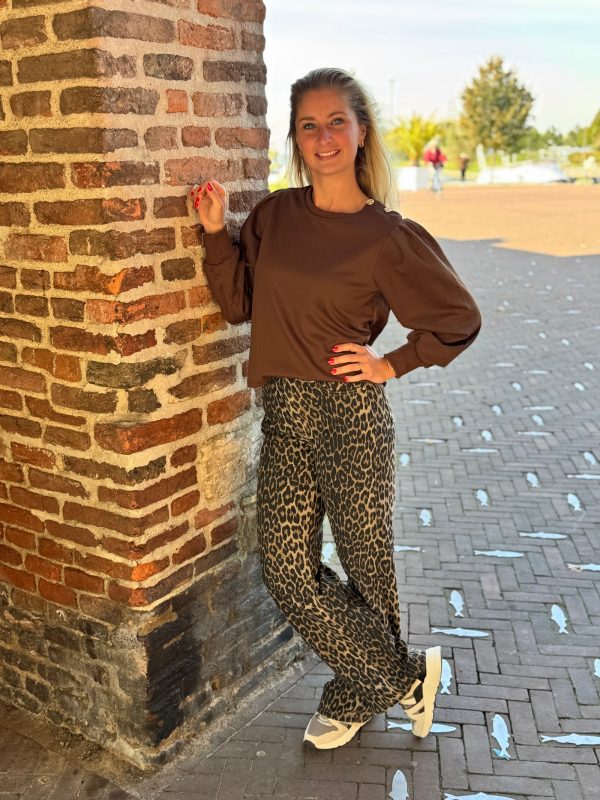 Truitje Milou choco