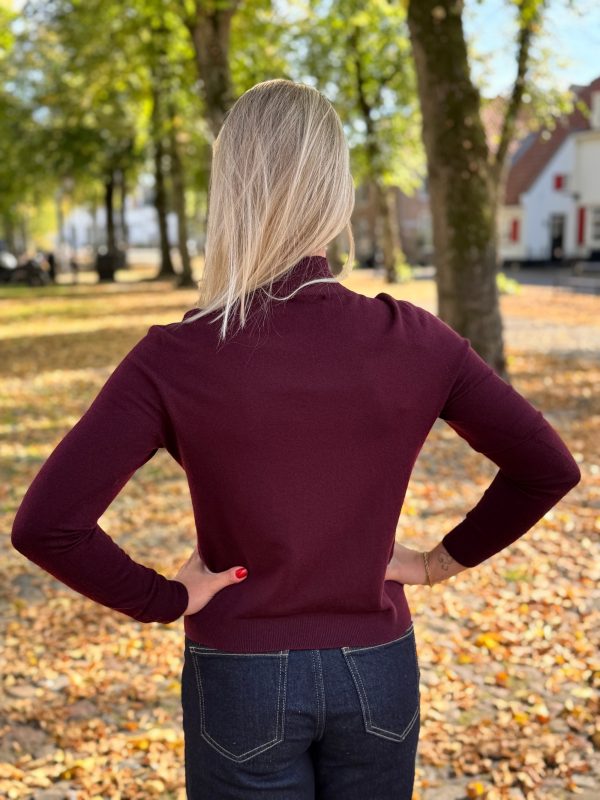 Truitje Kyana bordeaux - Afbeelding 3