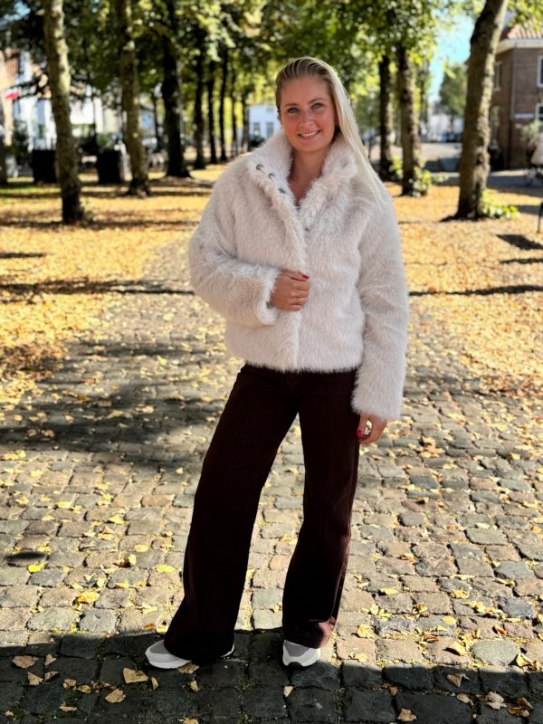 Jacket Monroe beige - Afbeelding 5