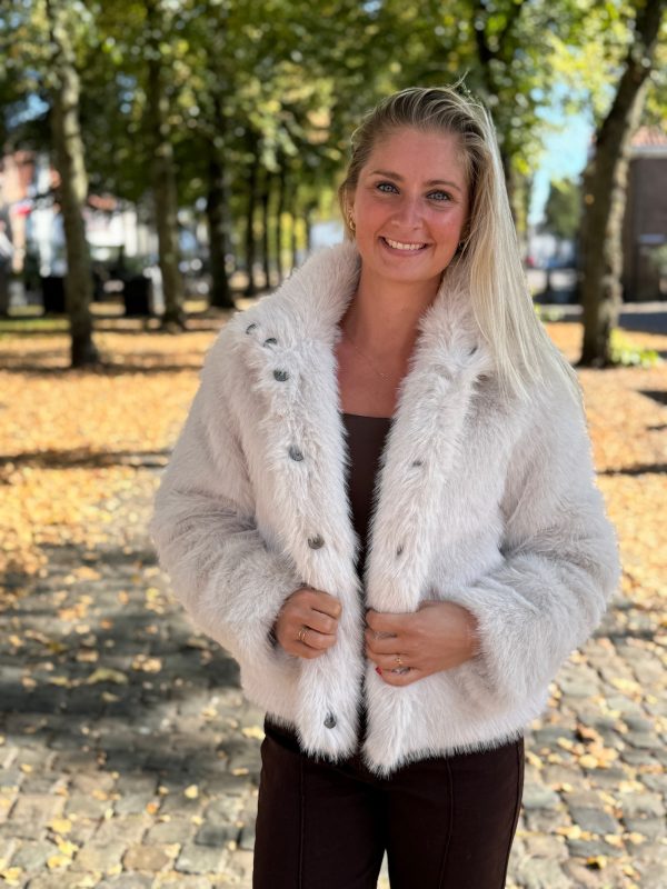 Jacket Monroe beige - Afbeelding 2