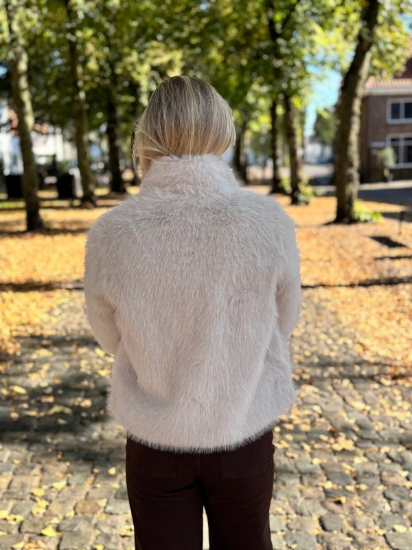 Jacket Monroe beige - Afbeelding 6