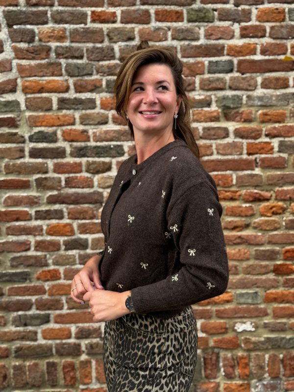 Vestje Natasja choco - Afbeelding 3