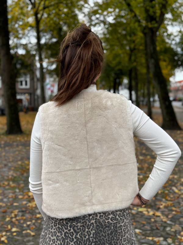 Gilet Anita beige - Afbeelding 4