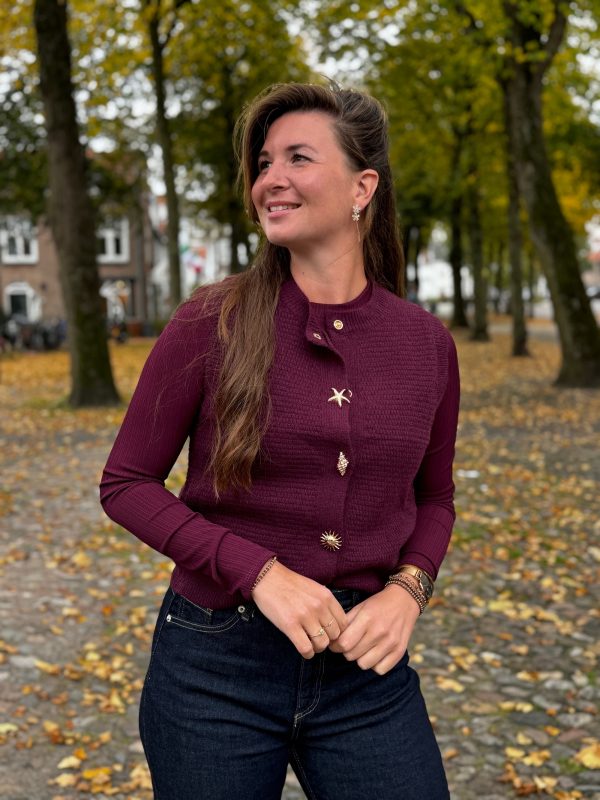 Gilet Bobbie bordeaux - Afbeelding 3