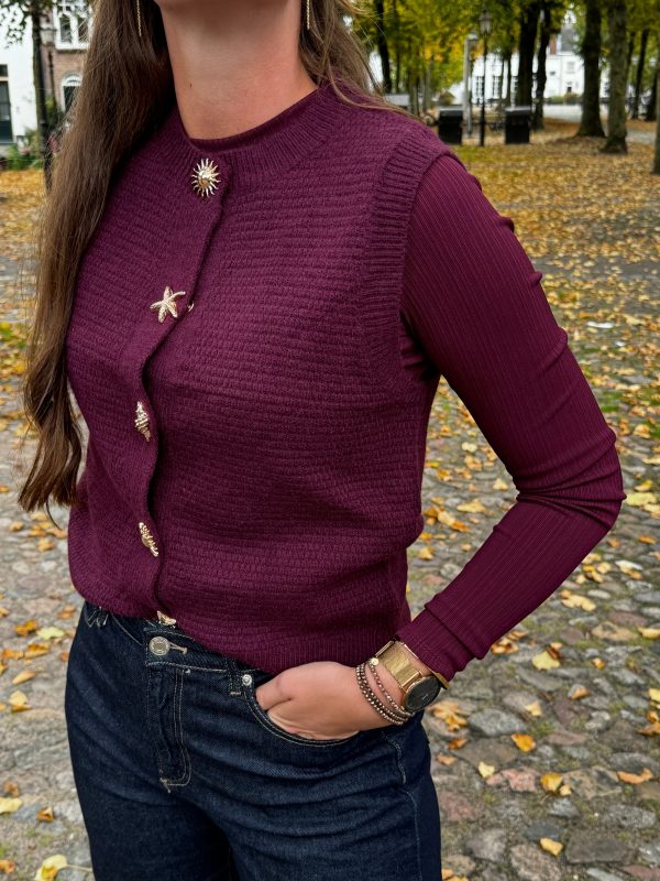 Gilet Bobbie bordeaux - Afbeelding 5